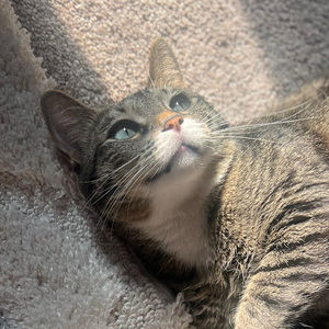 Meet your Posher, Eva